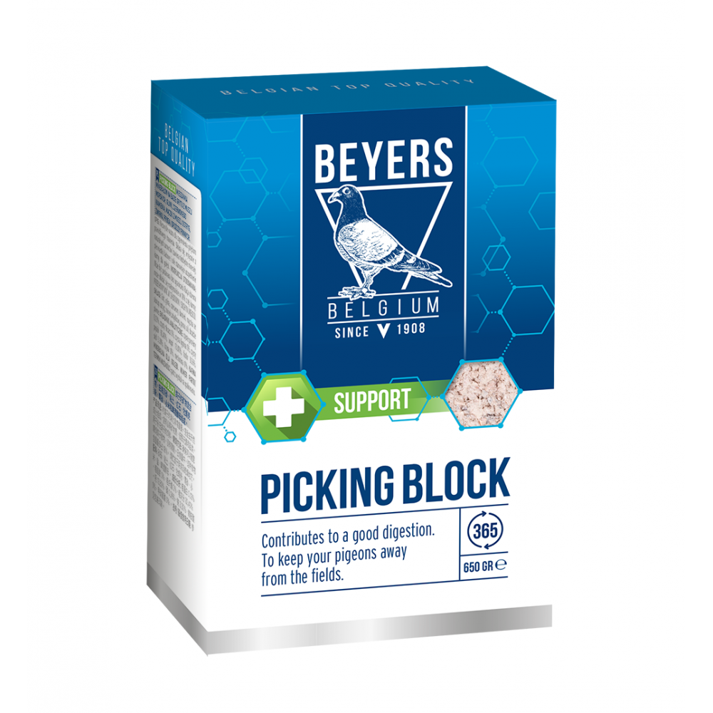 BEYERS BLOCO SALGADO 650 GR