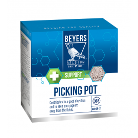 BEYERS BLOCO EM POTE 400 GR