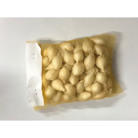 S.CEBOLINHA BRANCA P/ PLANTAR - SACA 500GR