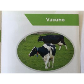 RAÇAO BIOLOGICA DE NOVILHOS ENGORDA GRAO- SACO 30KG