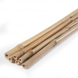 CANA DE BAMBOO PACK 3 UNID. 120CM