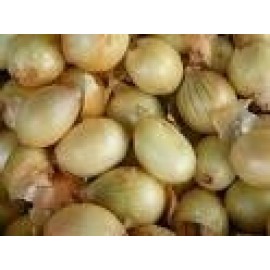 CEBOLA PARA CONSUMO   - SACO 5KG
