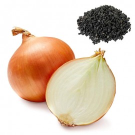 S.CEBOLA TEMPORA NACIONAL GRANEL - KILO