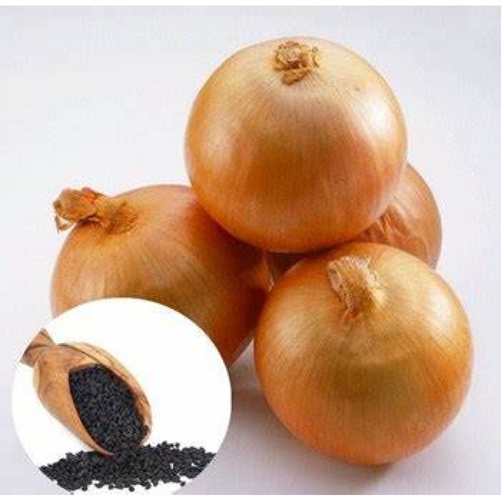 S.CEBOLA TARDIA           GRANEL - KILO