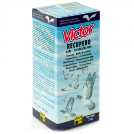VICTOR RECUPERO LIQUIDO - 200 GR