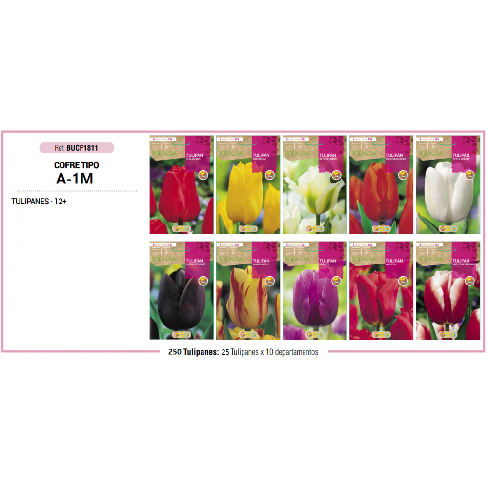 S.BOLBO RO.COFRE MINI TIPO- A-1 TULIPAS   - BUCF1811