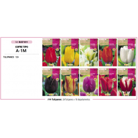 S.BOLBO RO.COFRE MINI TIPO- A-1 TULIPAS   - BUCF1811