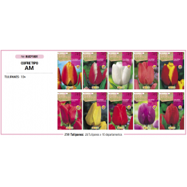 S.BOLBO RO.COFRE MINI TIPO- A TULIPAS   - BUCF1801