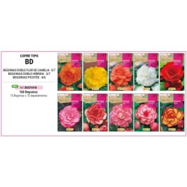 S.BOLBO RO.COFRE TIPO- BD BEGONIAS -BUCF4416