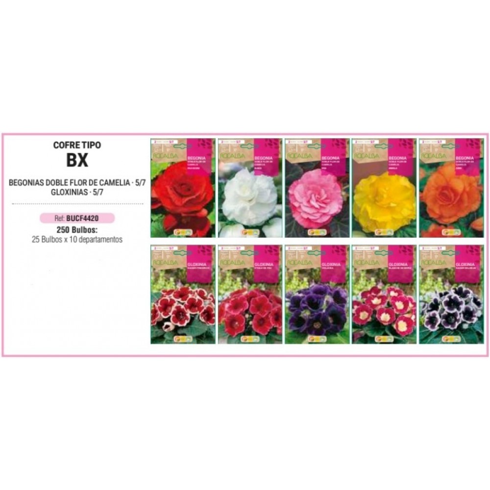 S.BOLBO RO.COFRE TIPO- BX BEGONIAS E GLOXINIAS -BUCF4420