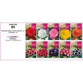 S.BOLBO RO.COFRE TIPO- BX BEGONIAS E GLOXINIAS -BUCF4420