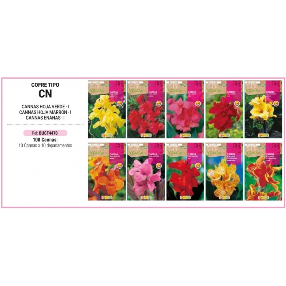 S.BOLBO RO.COFRE TIPO- CN CANNAS - BUCF4470