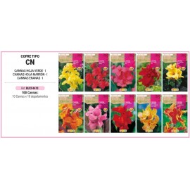 S.BOLBO RO.COFRE TIPO- CN CANNAS - BUCF4470
