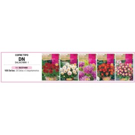 S.BOLBO RO.COFRE TIPO- DN DALIAS ENANAS - BUCF4460