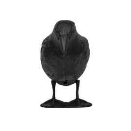 CORVO REPELENTE