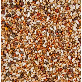 DELI NATURE HOBBYLINE DOVIX TURTLE DOVES - 20KG