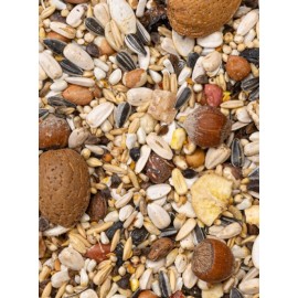 DELI NATURE MISTURA EXQUISIT NUT - 15 KG
