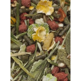 DELI NATURE PORQUINHOS DA ÍNDIA PREMIUM 15KG