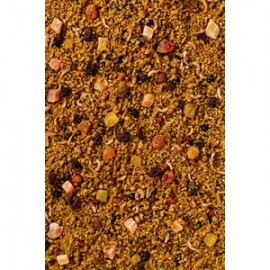 DELI NATURE PAPA COM FRUTOS - 10 KG