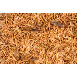 DELI NATURE HOBBYLINE CHIX INSECT MIX - 180G