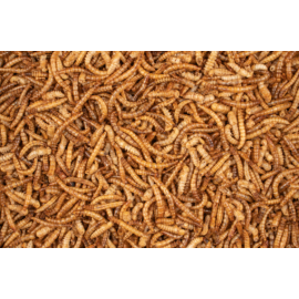 DELI NATURE HOBBYLINE CHIX MEALWORMS - 200G
