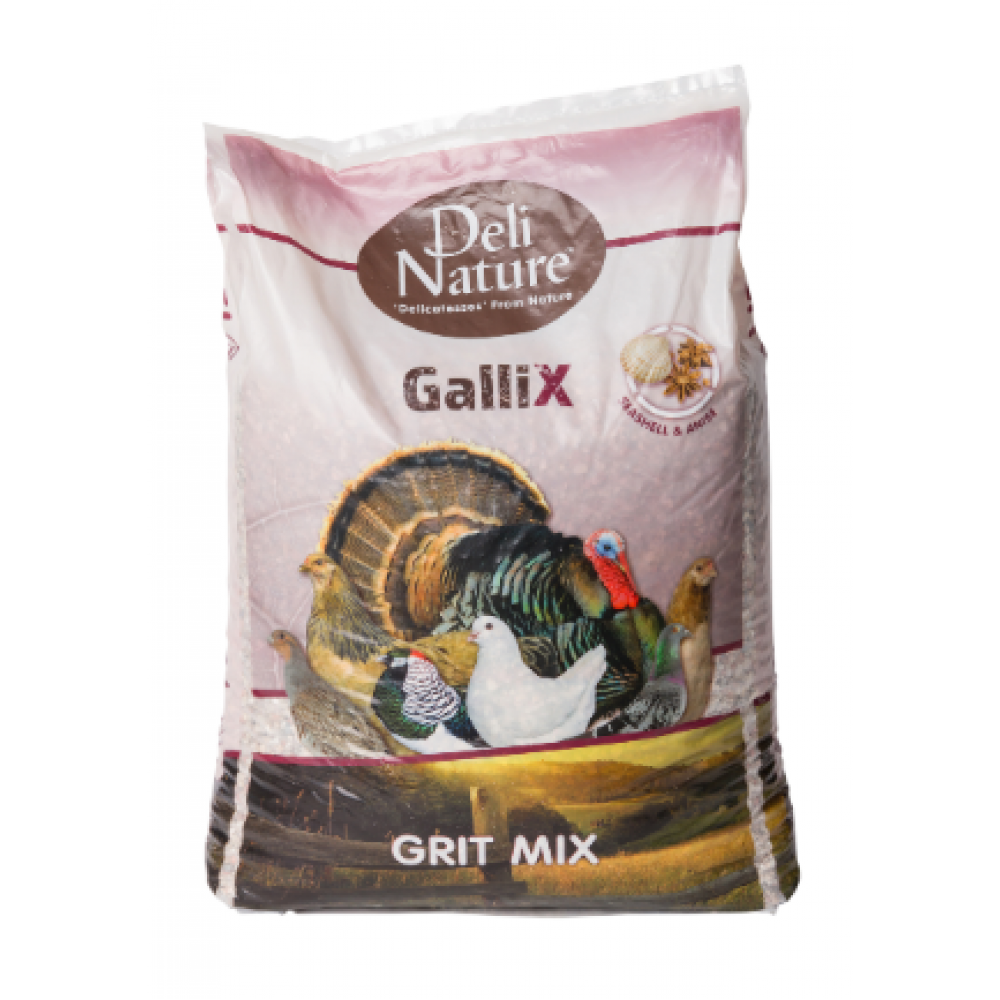 DELI NATURE HOBBYLINE CHIX GRIT MIX- 3KG