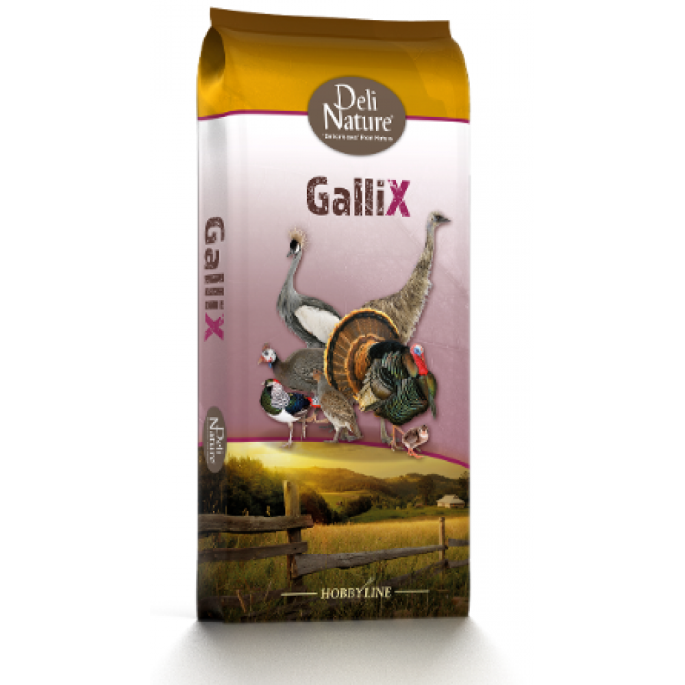 DELI NATURE HOBBYLINE GALLIX ORNAMENTAL START MEAL - 20KG