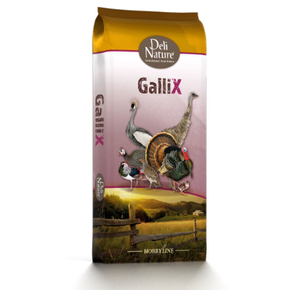 DELI NATURE HOBBYLINE GALLIX ORNAMENTAL MAINTENANCE PELLET- 20KG