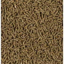 DELI NATURE HOBBYLINE DUX MAINTENANCE PELLET- 20KG