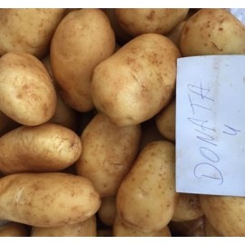 S.BATATA EUROPLANT DONATA 35/55 - 25KG