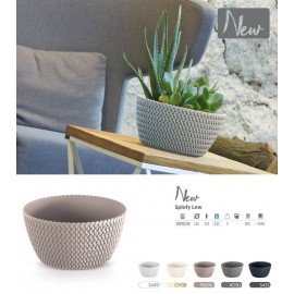 TAÇA SPLOFY LOW CREME - 240CM