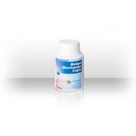 DE WEERD BELGA RECHARGE CAPS - 100