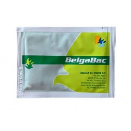 DE WEERD BELGABAC - 5G