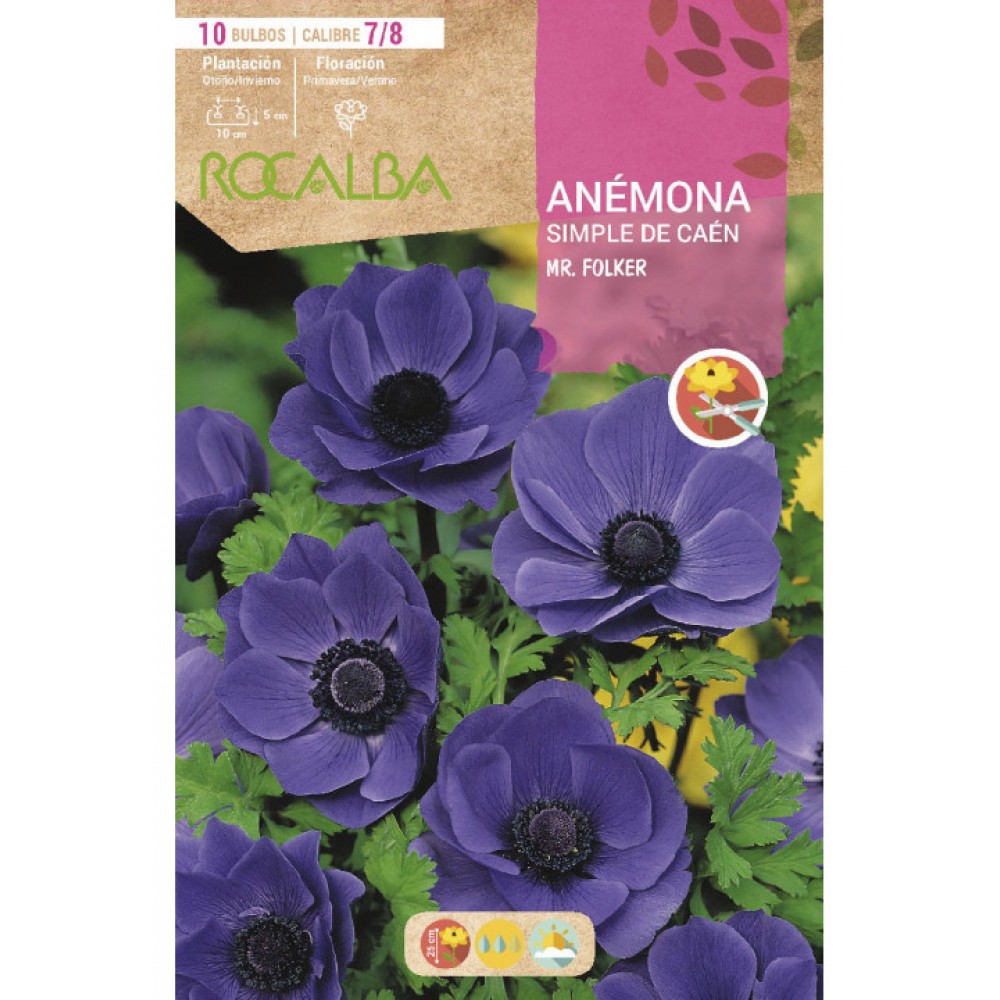 S.BOLBO SAQUETA ROCALBA ANEMONA SIMPLES MR.FOLKER- EBAC5965