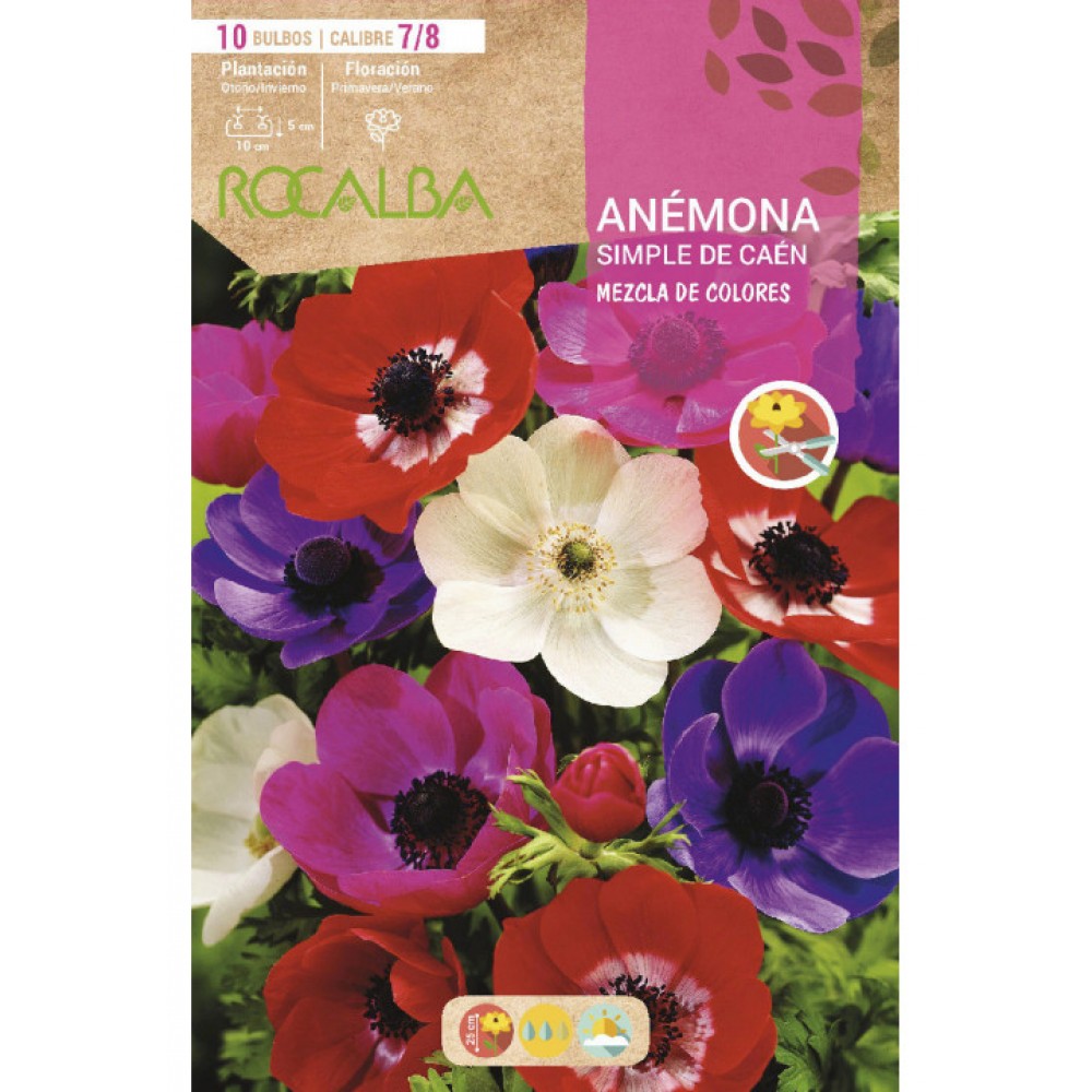 S.BOLBO SAQUETA ROCALBA ANEMONAS S.DE CAEN -MISTURA DE CORES EBAC5975