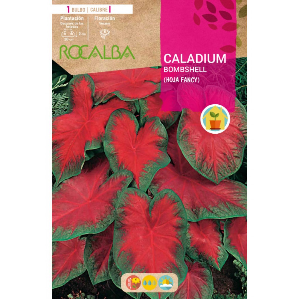 S.BOLBO SAQUETA CALADIUM BOMBSHELL