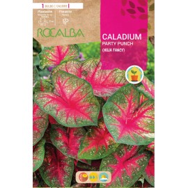 S.BOLBO SAQUETA CALADIUM PARTY PUNCH