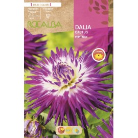 S.BOLBO SAQUETA DALIA CACTUS VERITABLE -EBDC8415