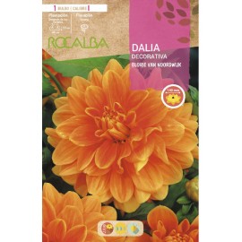 S.BOLBO SAQUETA DALIA DECORATIVA GLORIE VAN NOORDWIJK