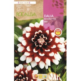 S.BOLBO SAQUETA DALIA DECORATIVA DUET