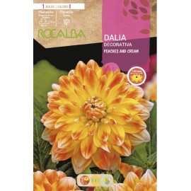 S.BOLBO SAQUETA DALIA DECORATIVA PEACHES AND CREAM