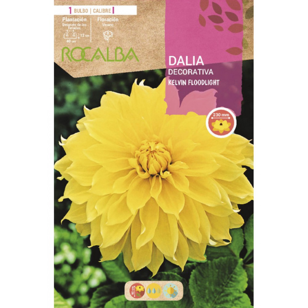 S.BOLBO SAQUETA DALIA DECORATIVA KELVIN FLOODLIGHT-EBDD8315