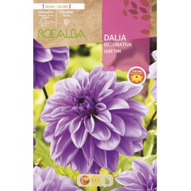S.BOLBO SAQUETA DALIA DECORATIVA LILAC TIME
