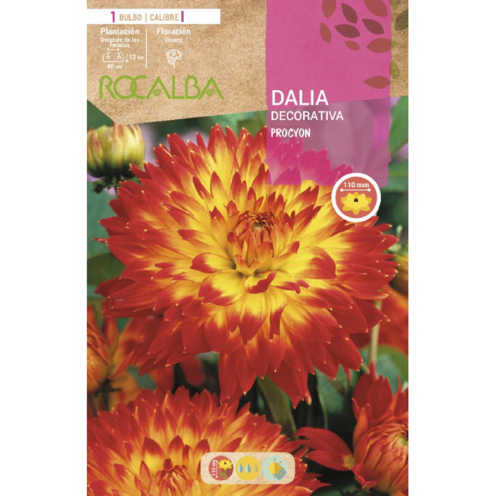 S.BOLBO SAQUETA DALIA DECORATIVA PROCYON