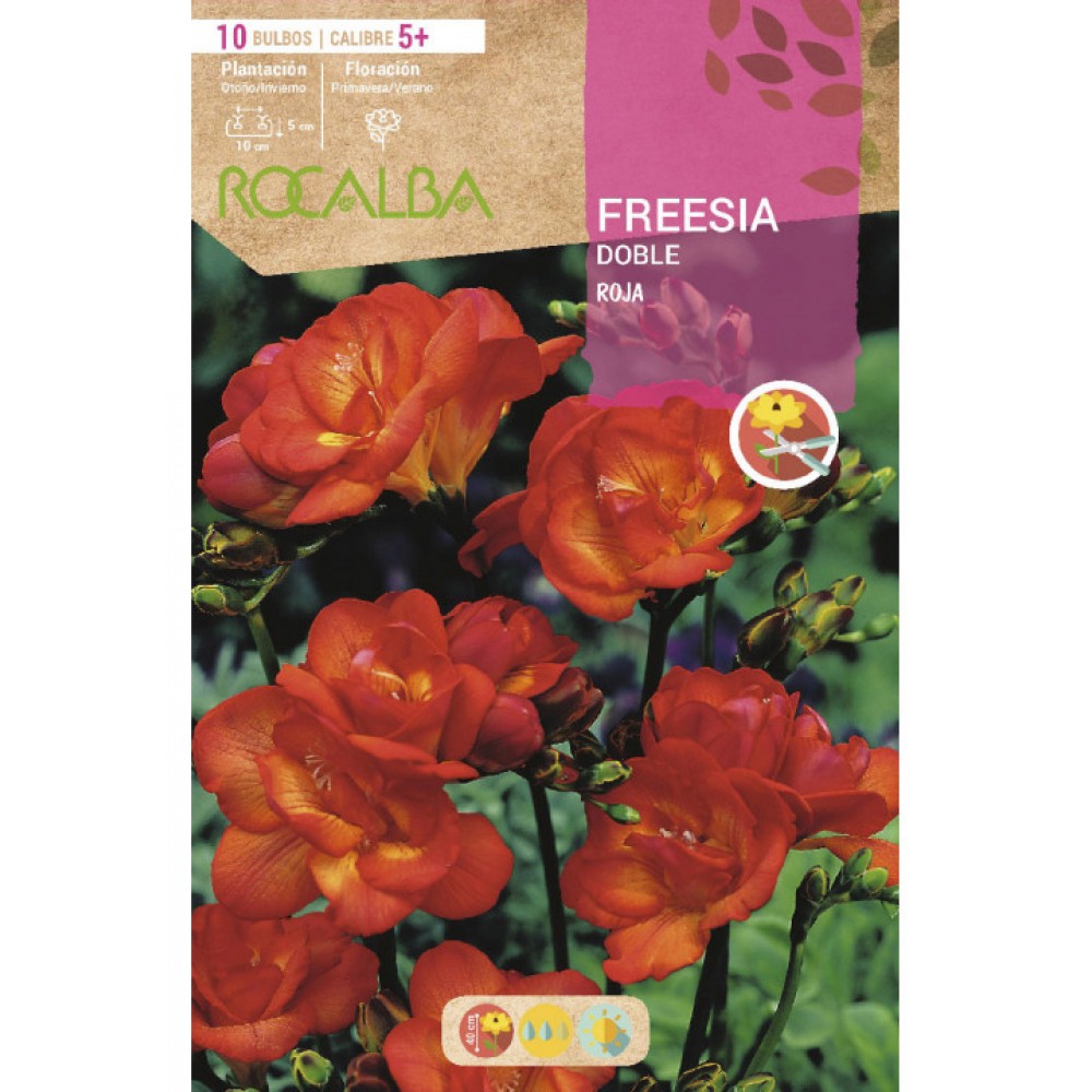 S.BOLBO RO.SAQUETA FRESIAS DOBRADA VERMELHA EBFD6375