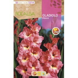 S.BOLBO SAQUETA GALADIOLO PRAHA - EBGL8060