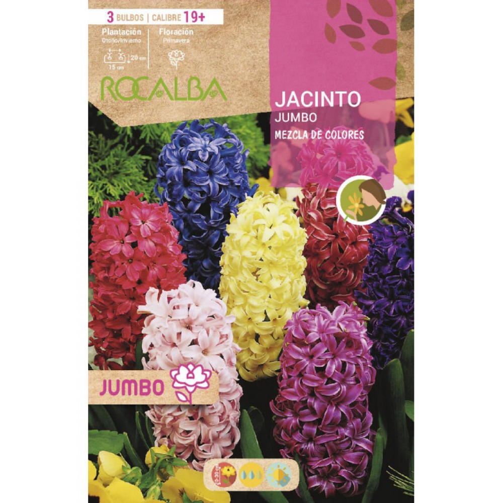 S.BOLBO SAQUETA JACINTOS JUMBO -MISTURA DE CORES
