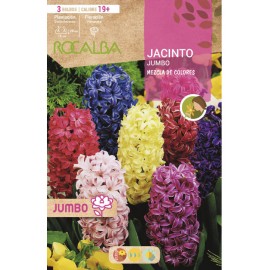 S.BOLBO SAQUETA JACINTOS JUMBO -MISTURA DE CORES