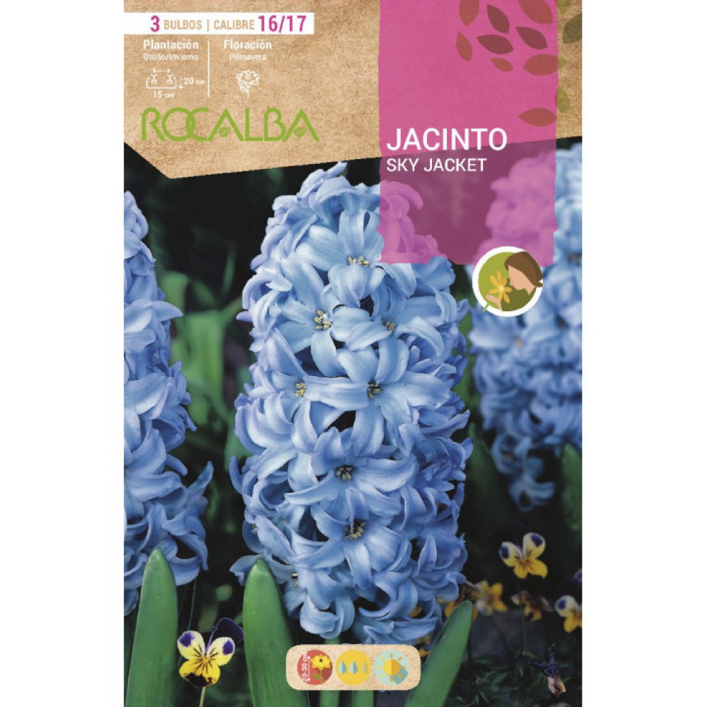 S.BOLBO SAQUETA JACINTO AZUL CLARO SKY JACKET - EBJN5455