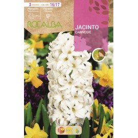 S.BOLBO SAQUETA JACINTO BRANCO CARNEGIE - EBJN5470